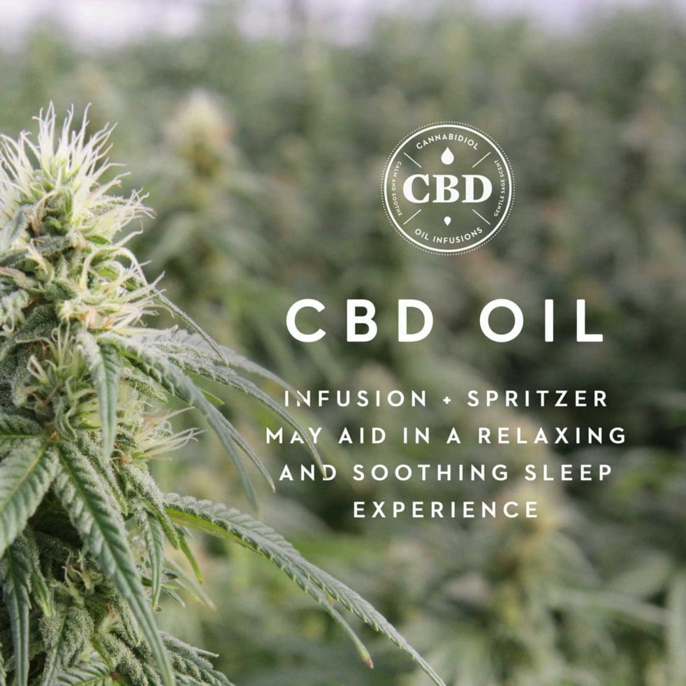 CBD Memory Foam Pillow