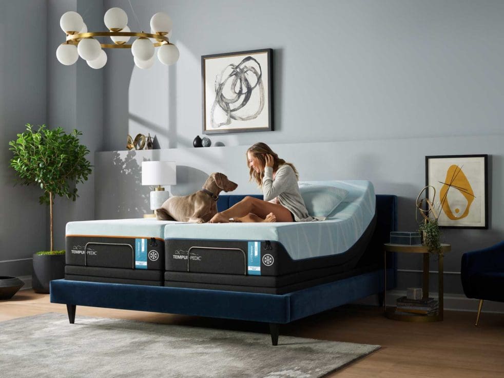 TEMPUR-Ergo Lifestyle